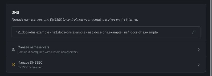 DNS settings for domainchief-lqyorkeb.example in dark mode, showing four custom nameservers and disabled DNSSEC